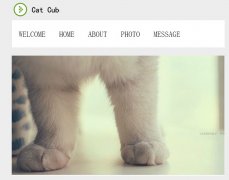 CAT CUB 学生网页作品 5页面 带PSD 留言