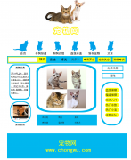 宠物网 15页面 带设计说明 flash引导欢迎页 优酷在线视频 注册登录页面 三级页面结构