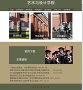 上海应用技术学院 艺术与设计学院 学校教育主题 15页面 三级结构 