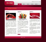 可口可乐 5页面or6页面 碳酸饮料企业公司品牌网站 带文字滚动 背景音乐