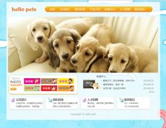 Hello Pets宠物网 7页面 猫猫狗狗宠物公司企业网站 带设计说明 Flash轮播