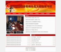 长江海事局信息中心 4页面 政府门户宣传网站主题 带 Flash动画 js轮播特效