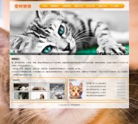 宠物猫猫网 14页面 带背景音乐 JS轮播特效 Flash动画 表格表单