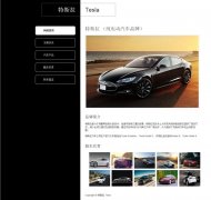 特斯拉汽车公司Tesla 5页面 美国电动车旗舰 带设计说明 背景音乐 联系表单