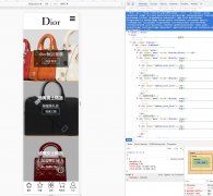 DIOR 迪奥 2页面 移动手机页面 法国著名时尚消费品牌 带复杂JS特效