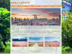 我的家乡-上海市金山区 7页面  带JS图片点击放大特效 留言表单 HTML5+css3