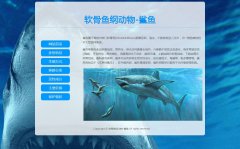 软骨鱼纲动物-鲨鱼 7页面 海洋生物  动物科普主题 简单版本