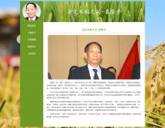 杂交水稻之父-袁隆平 5页面  改革先锋 共和国勋章 人物介绍 