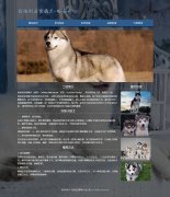 西伯利亚雪橇犬-哈士奇 宠物狗二哈  6页面 带JQuery图片轮播特效 html5+css3 布局