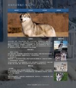 西伯利亚雪橇犬-哈士奇 宠物狗二哈 4页面  html5+css3 布局 带JQuery图片轮播特效