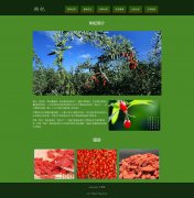 枸杞 6页面 枸杞属植物 html5+css3布局 带JQuery图片轮播特效