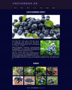 杜鹃花科越橘属植物-蓝莓  7页面 html5+css3布局 带JQuery图片轮播特效