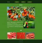 枸杞 3页面 枸杞属植物 html5+css3布局 带JQuery图片轮播特效