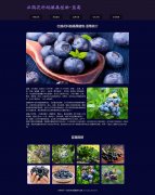 杜鹃花科越橘属植物-蓝莓 5页面  水果  html5+css3布局 带JQuery图片轮播特效