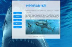 软骨鱼纲动物-鲨鱼 5页面 海洋生物 动物科普主题