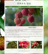 常绿乔木-荔枝 4页面 植物水果介绍 media screen HTML5 响应式布局 带  jQuery轮播特效  滚动文字