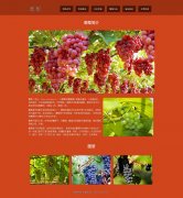 葡萄  6页面 藤本植物 <font color='red'>水果</font> html5+css3布局 带JQuery图片轮播特效