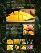 漆树科植物-芒果  7页面 水果 html5+css3布局 带JQuery图片轮播特效