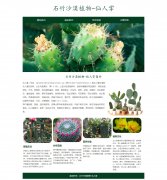 石竹沙漠植物-仙人掌  4页面 植物水果科普主题 HTML5