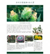 石竹沙漠植物-仙人掌 6页面 植物水果科普主题 HTML5