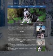 西伯利亚雪橇犬-哈士奇 宠物狗二哈 9页面 html5+css3 布局 带JQuery图片轮播特效