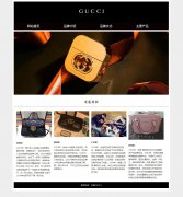 古驰GUCCI 4页面 全球奢侈品品牌 电商企业主题 带flash轮播动画 JS图片轮播特效 html5+css3