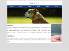 狗狗百科网 6页面 狗狗宠物介绍 HTML5  带在线<font color='red'>视频</font> 留言表单