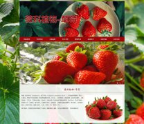 薇科植物-草莓 8页面 <font color='red'>水果</font>介绍 带JS图片轮播特效 留言表单