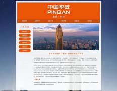 中国平安保险（集团）股份有限公司 6页面 金融保险、银行、投资企业 HTML5 带JS图片轮播特效 登录表单