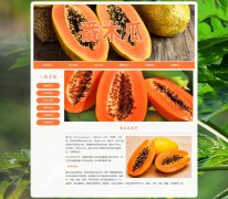 番木瓜 4页面 木瓜 乳瓜 万寿果 HTML5 带JS图片轮播特效