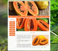 番木瓜 8页面 木瓜 乳瓜 万寿果 水果介绍 HTML5 带JS图片轮播特效 注册登录留言