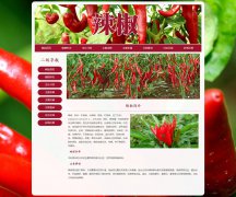 辣椒 8页面 牛角椒、长辣椒、菜椒、灯笼椒介绍 HTML5 带JS图片轮播特效 注册登录留言表单