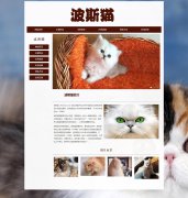 波斯猫 4页面 宠物动物 长毛猫 HTML5 带背景音乐 JS图片轮播特效 滚动文字 鼠标