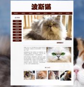 波斯猫 8页面 宠物动物 长毛猫 HTML5 带背景音乐 JS图片轮播特效 滚动文字 鼠标经过图片 JS时间代码 注册登录留言表单