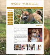 宠物狗-中华田园犬 8页面 宠物动物 土狗 柴狗 HTML5 带背景音乐 JS图片轮播特效