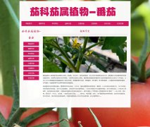 茄科茄属植物-番茄 8页面 西红柿水果蔬菜 HTML5 带背景音乐 JS图片轮播特效 滚动文字 鼠标经过图片 JS时间代码 注册登录留言表单