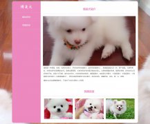 博美犬 2页面 宠物狗狗 哈多利系博美犬 德国狐狸犬 HTML5 media 响应式布局 带jquery图片轮播特效 图片点击放大特效 