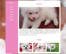 博美犬 6页面 宠物狗狗 哈多利系博美犬 德国狐狸犬 HTML5 media 响应式布局 带jquery图片轮播特效 图片点击放大特效 