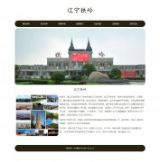 辽宁铁岭 7页面 家乡介绍 HTML5+CSS3 排版<font color='red'>简单</font> 带注册登录留言表单 表单验证