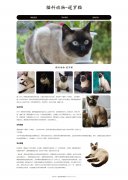 猫科动物-暹罗猫 3页面 泰国短毛猫 宠物猫 HTML5+CSS3布局