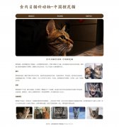 食肉目猫科动物-中国狸花猫 3页面 自然猫 宠物猫 HTML5+CSS3布局