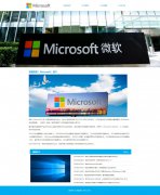 美国微软（Microsoft）4页面 美国跨国科技企业 电脑软件提供商 世界品牌500强