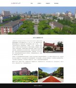 上海财经大学 4页面 211 985高校 学校主题 