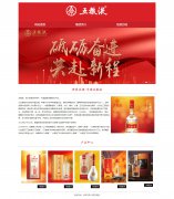 世界名酒-中国五粮液 3页面 四川宜宾特产 白酒食品品牌 HTML5 带JS图片轮播特效